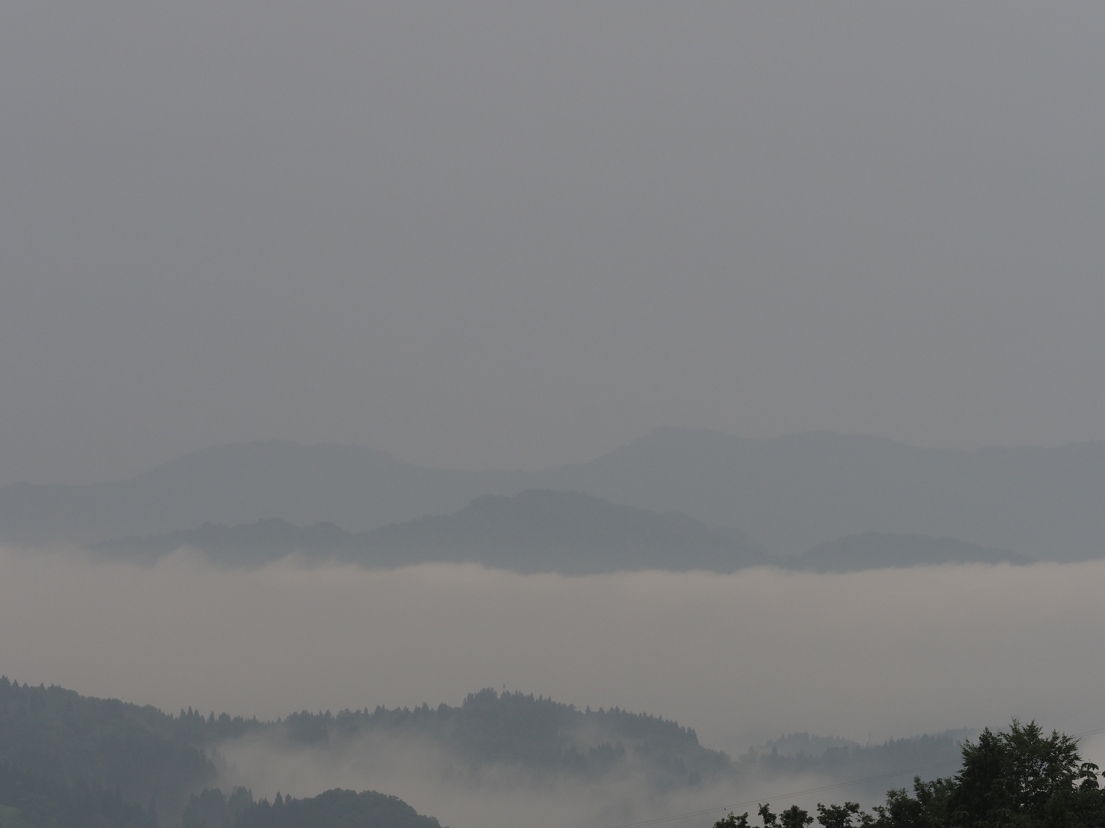 P6190038.jpg