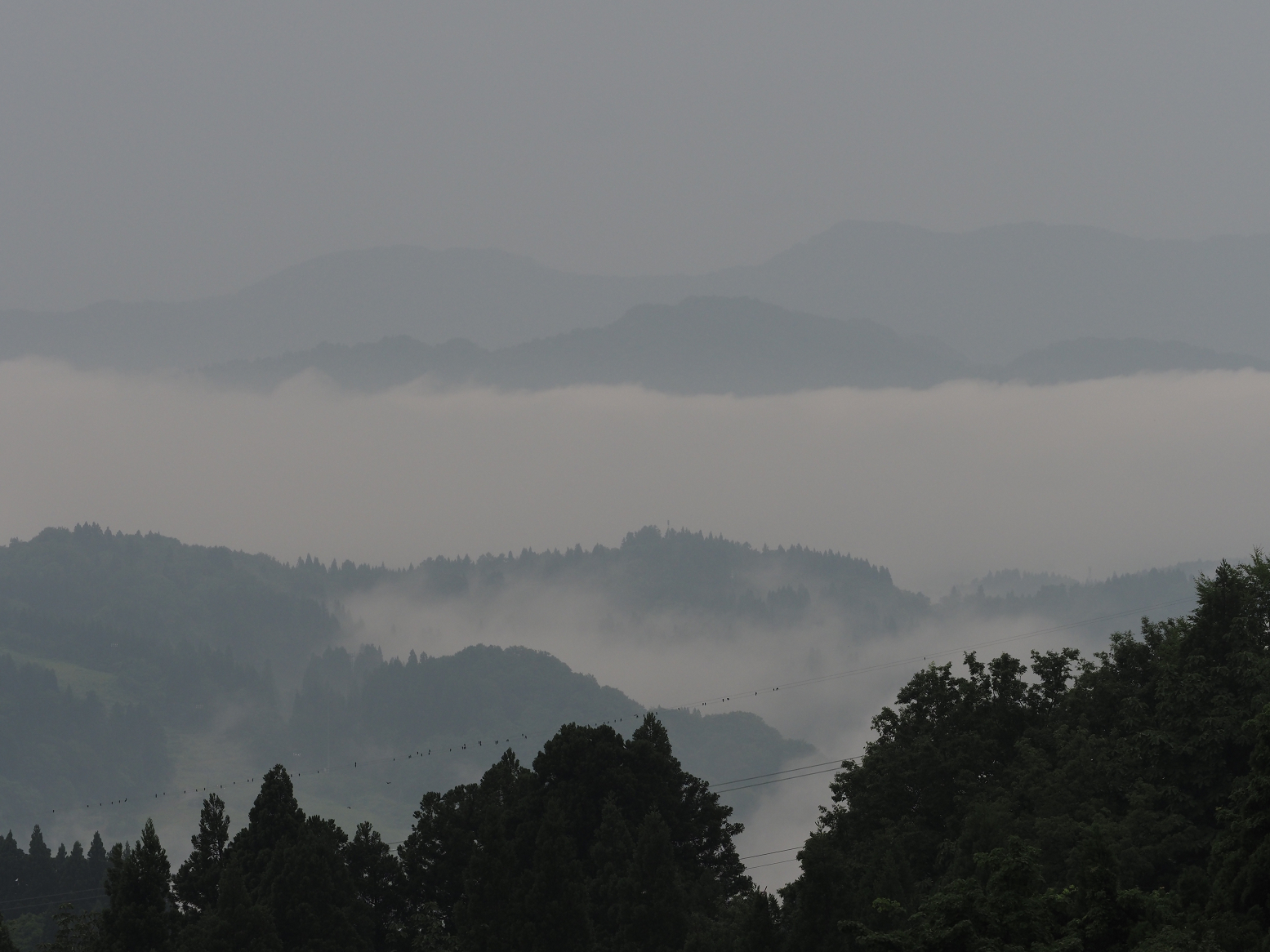 P6190039.jpg