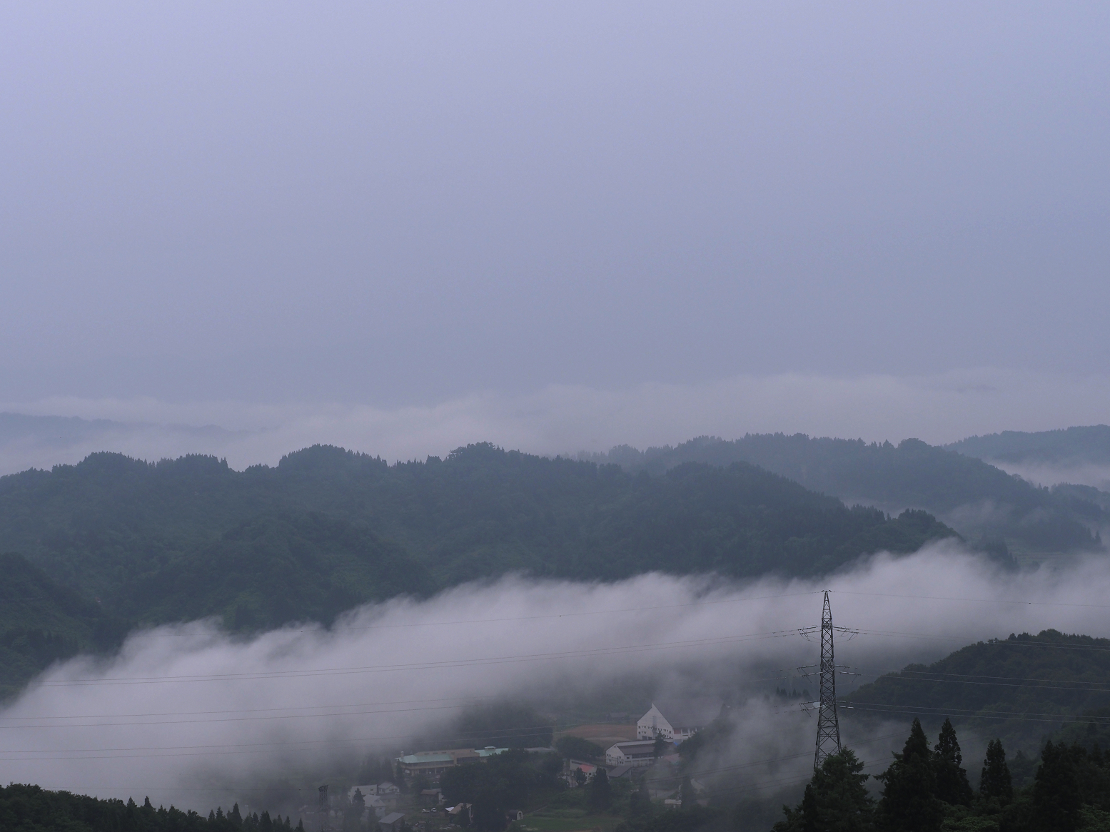 P6190050.jpg