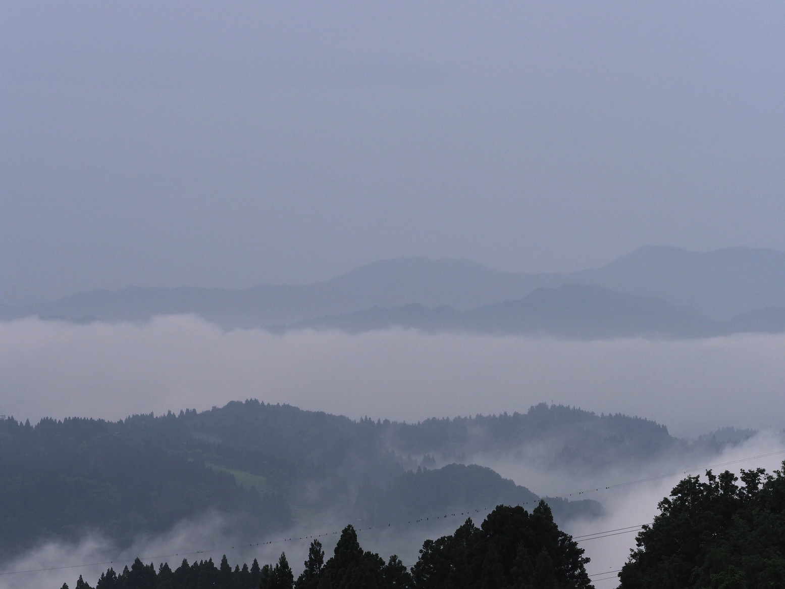 P6190051.jpg