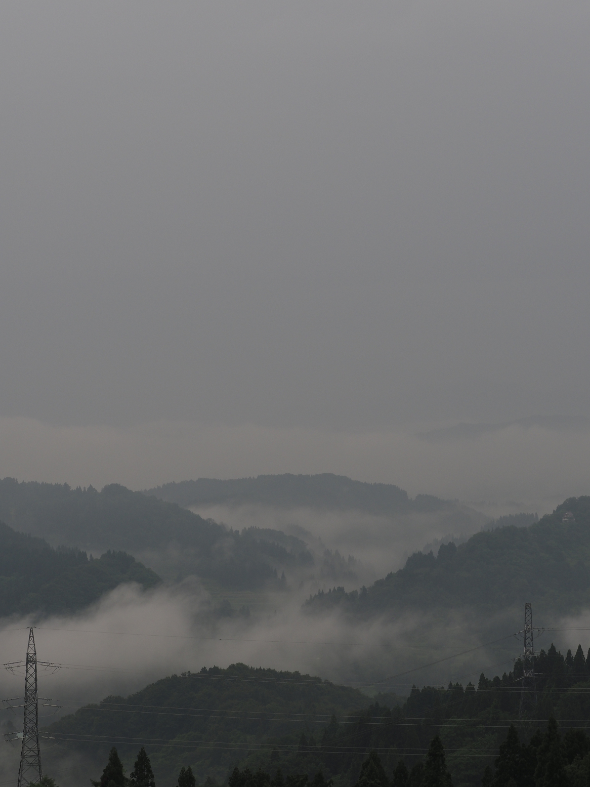 P6190056.jpg