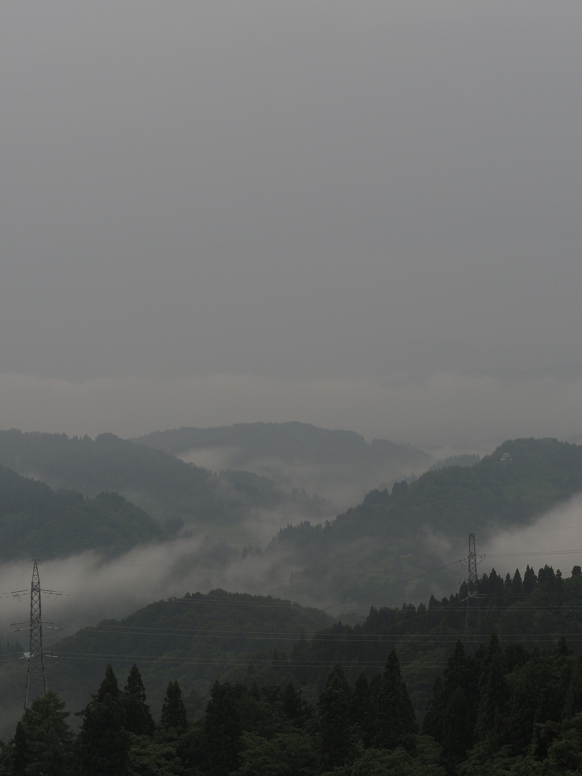 P6190060.jpg