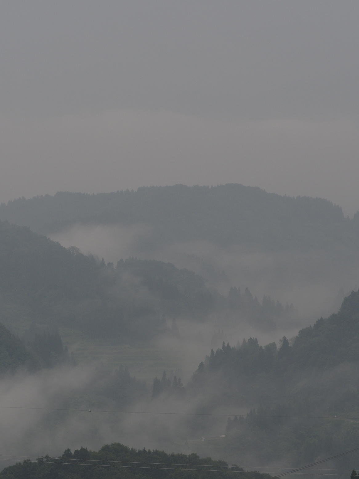 P6190061.jpg