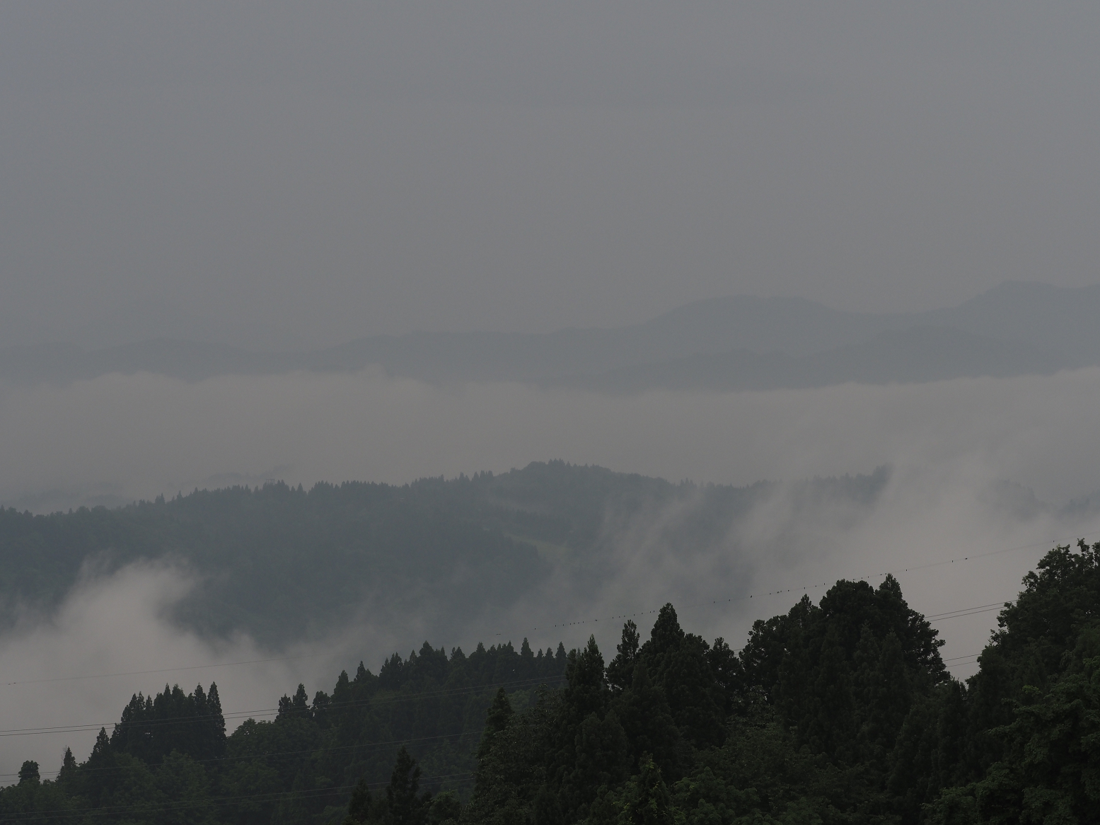 P6190064.jpg