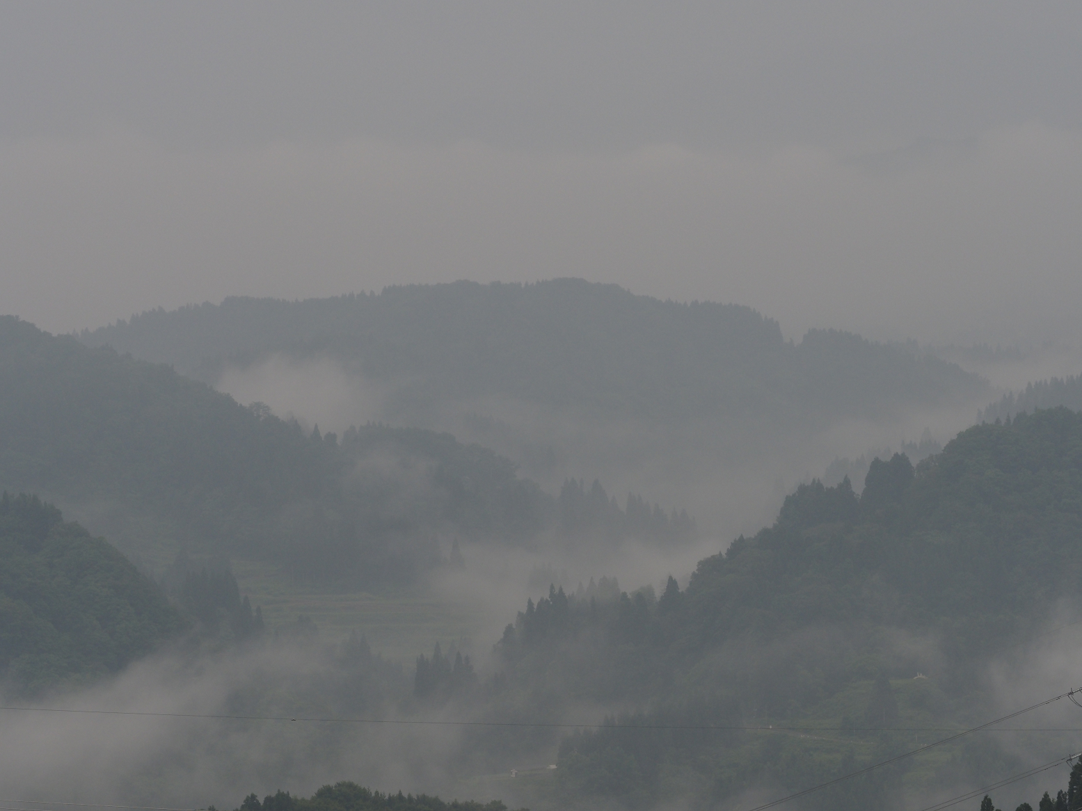 P6190065.jpg