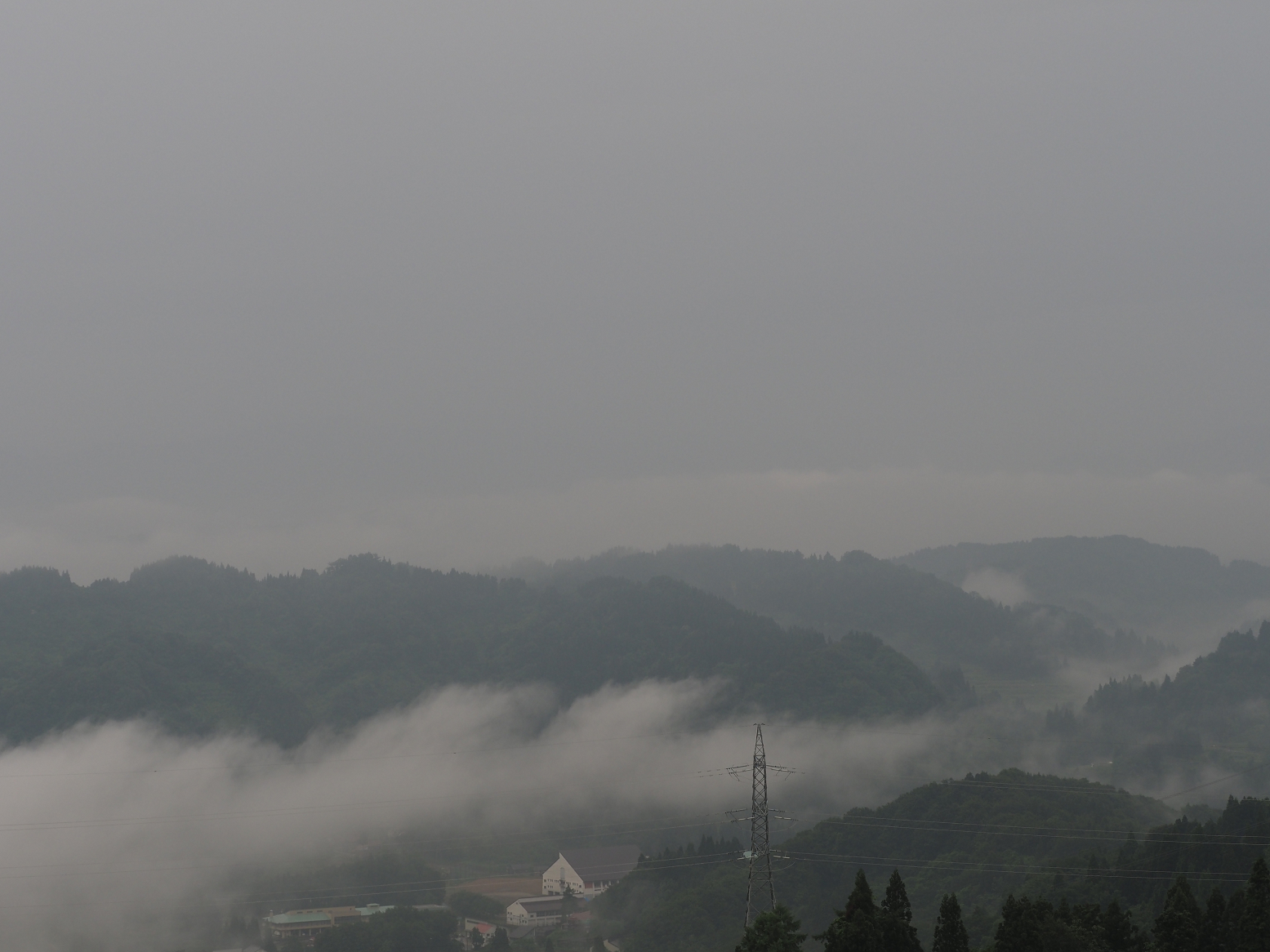 P6190068.jpg
