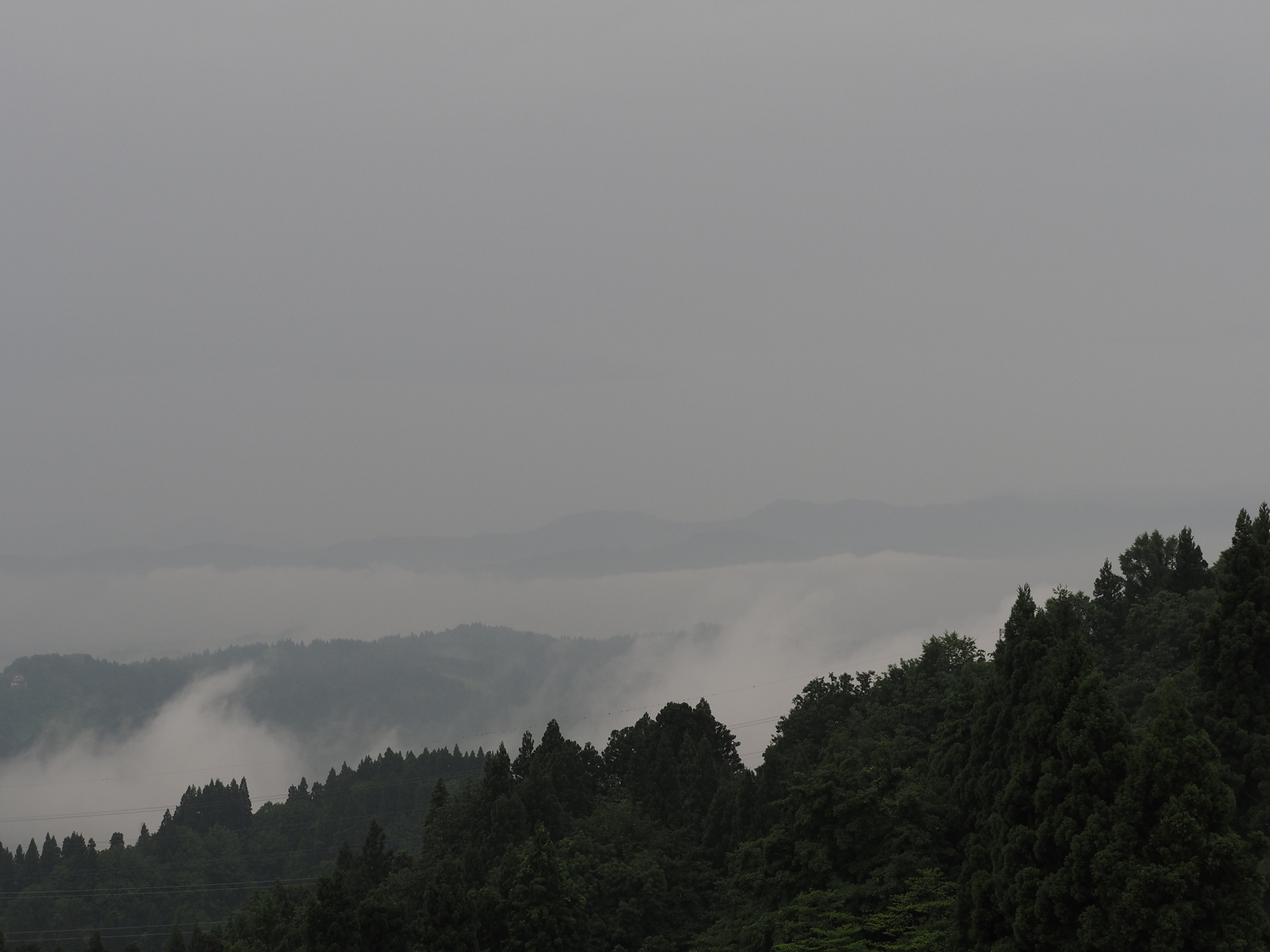 P6190069.jpg