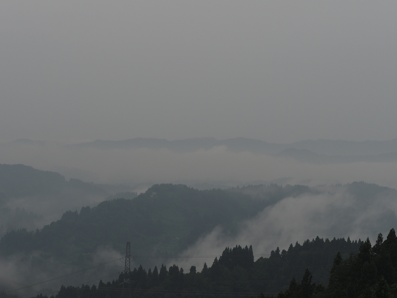 P6190080.jpg