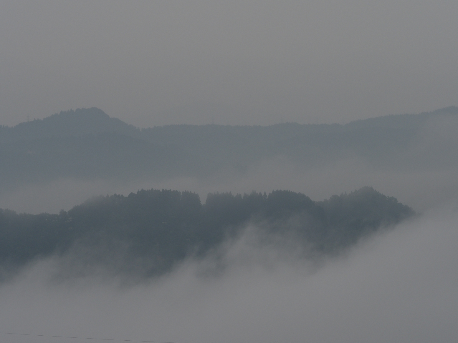 P6190081.jpg