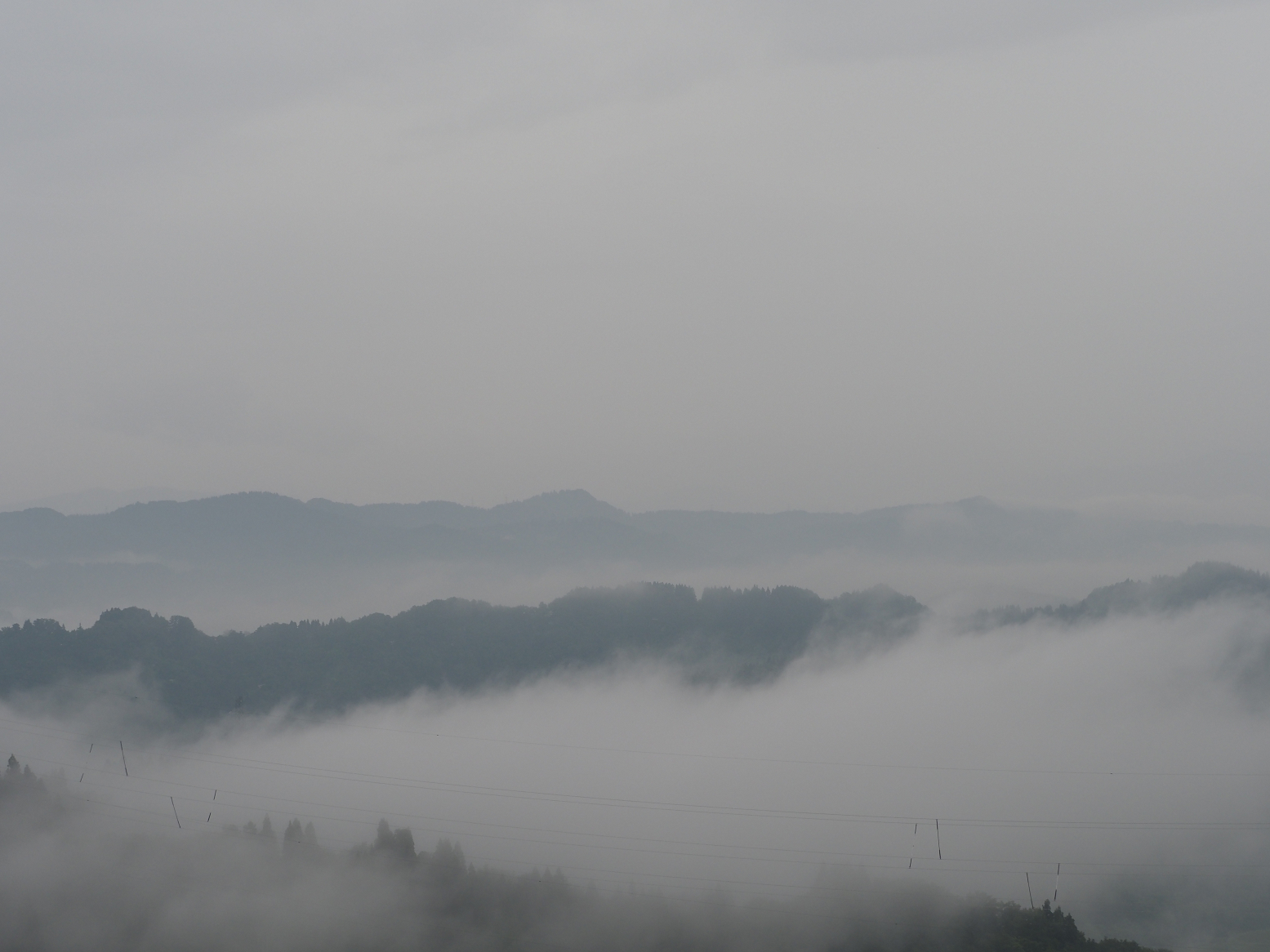 P6190082.jpg
