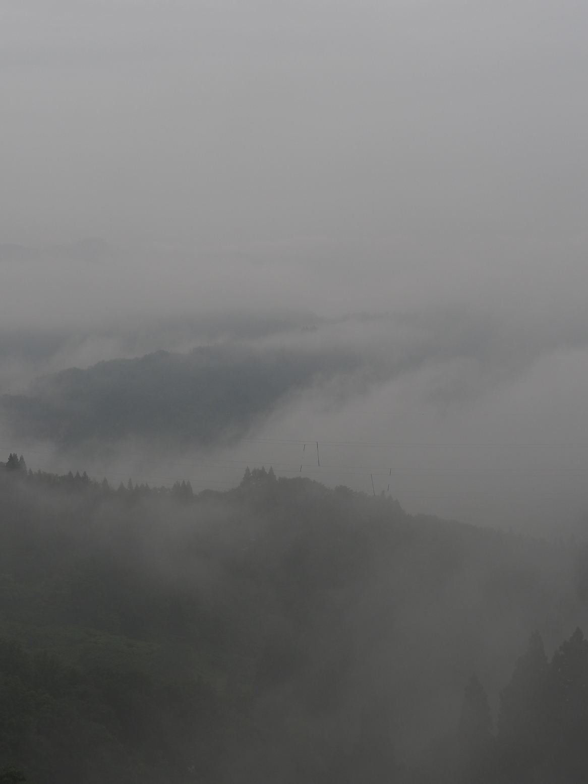 P6190089.jpg