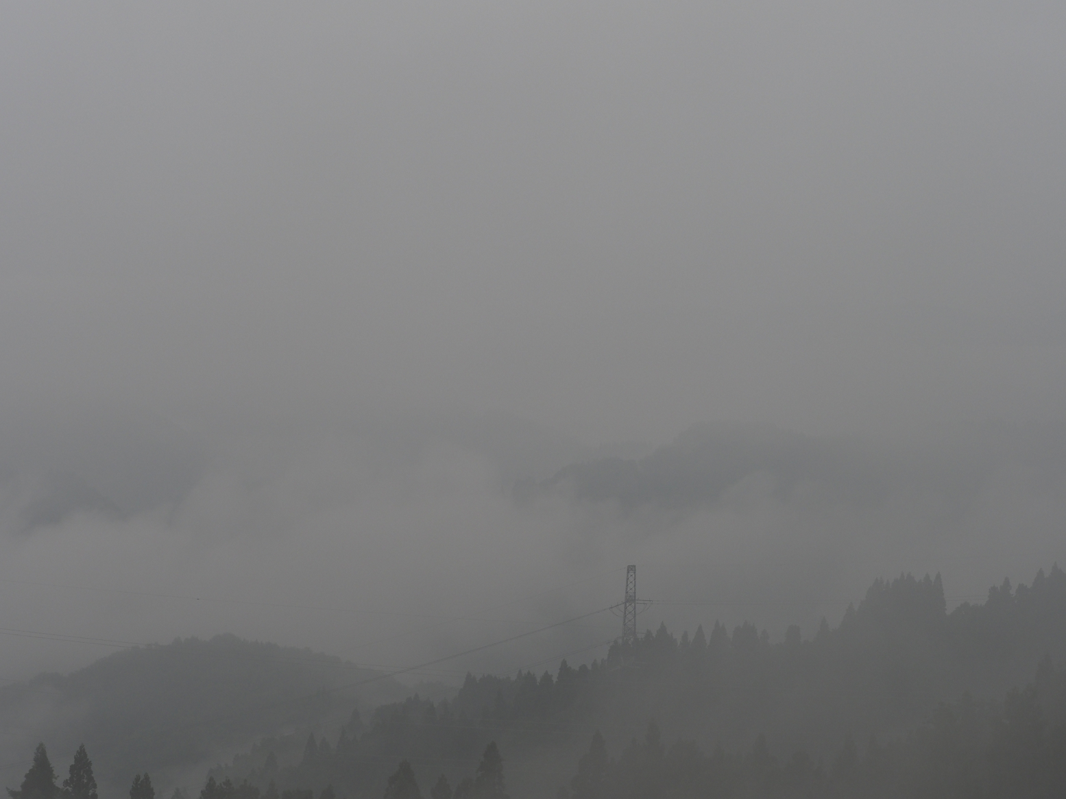 P6190090.jpg