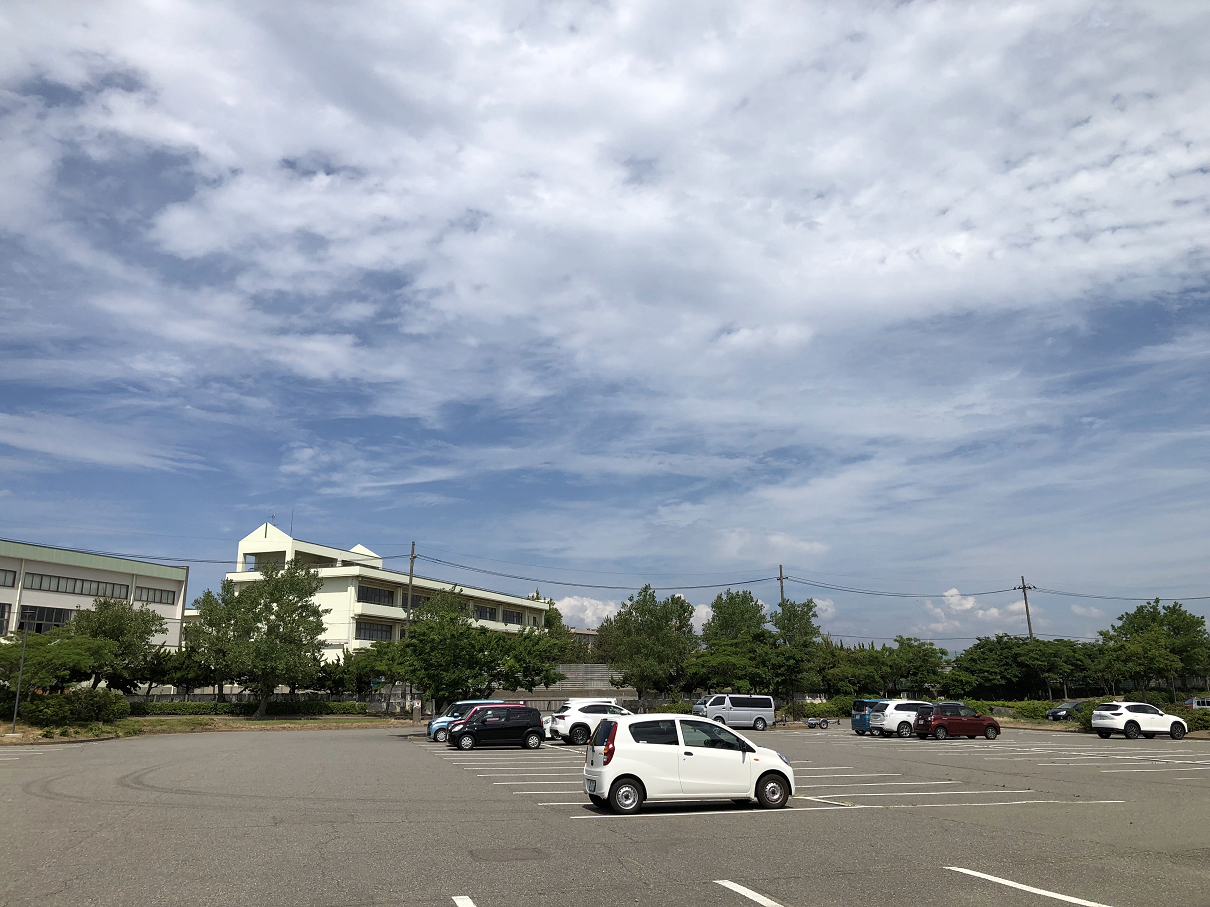 IMG_2221.jpg