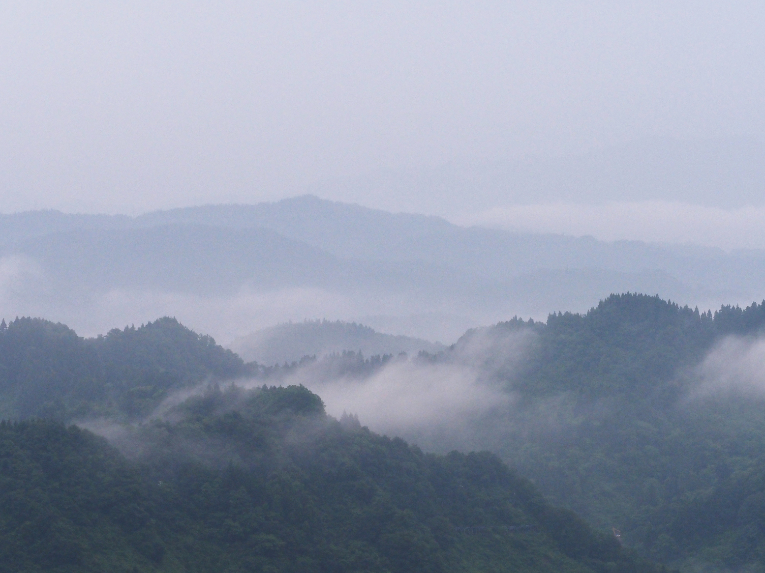 P6190005.jpg