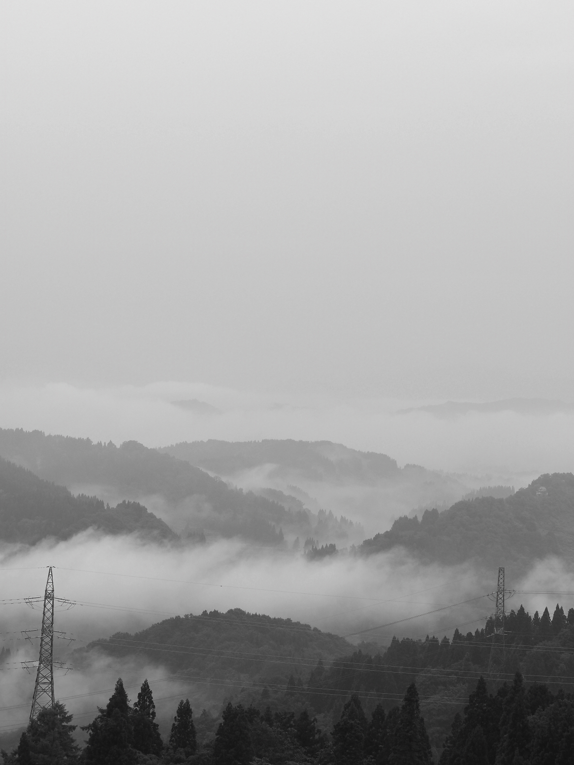 P6190042.jpg