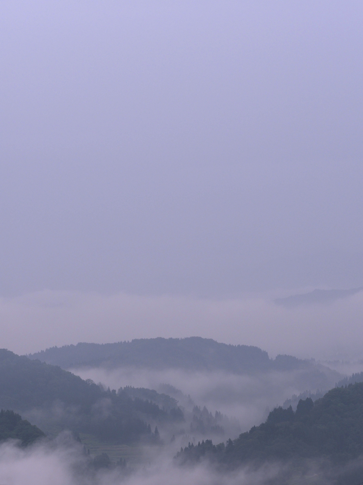 P6190055.jpg