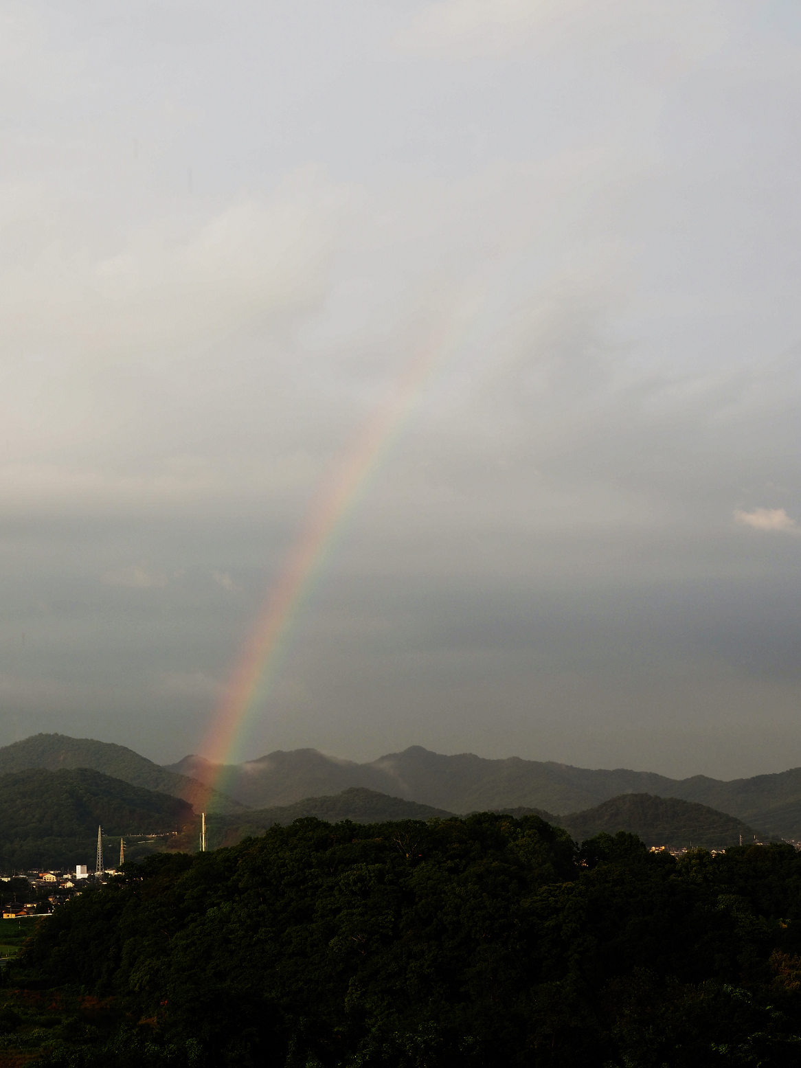 P6240325.jpg