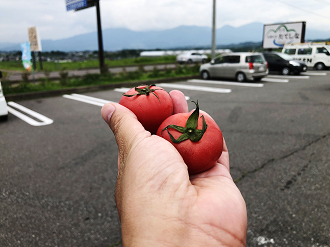 P6260051-15_thumb.png