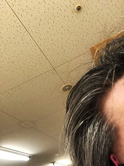 P6260051-19_thumb.png