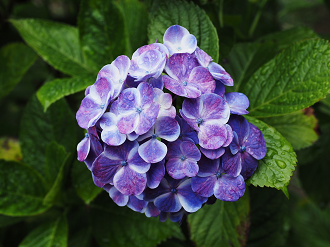 P7040004_thumb.png