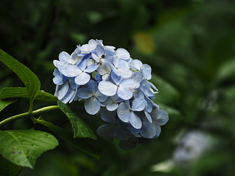 P7040092_thumb.png