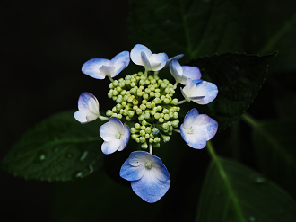 P7040093_thumb.png