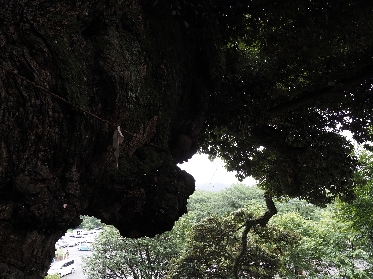 P7040105.jpg