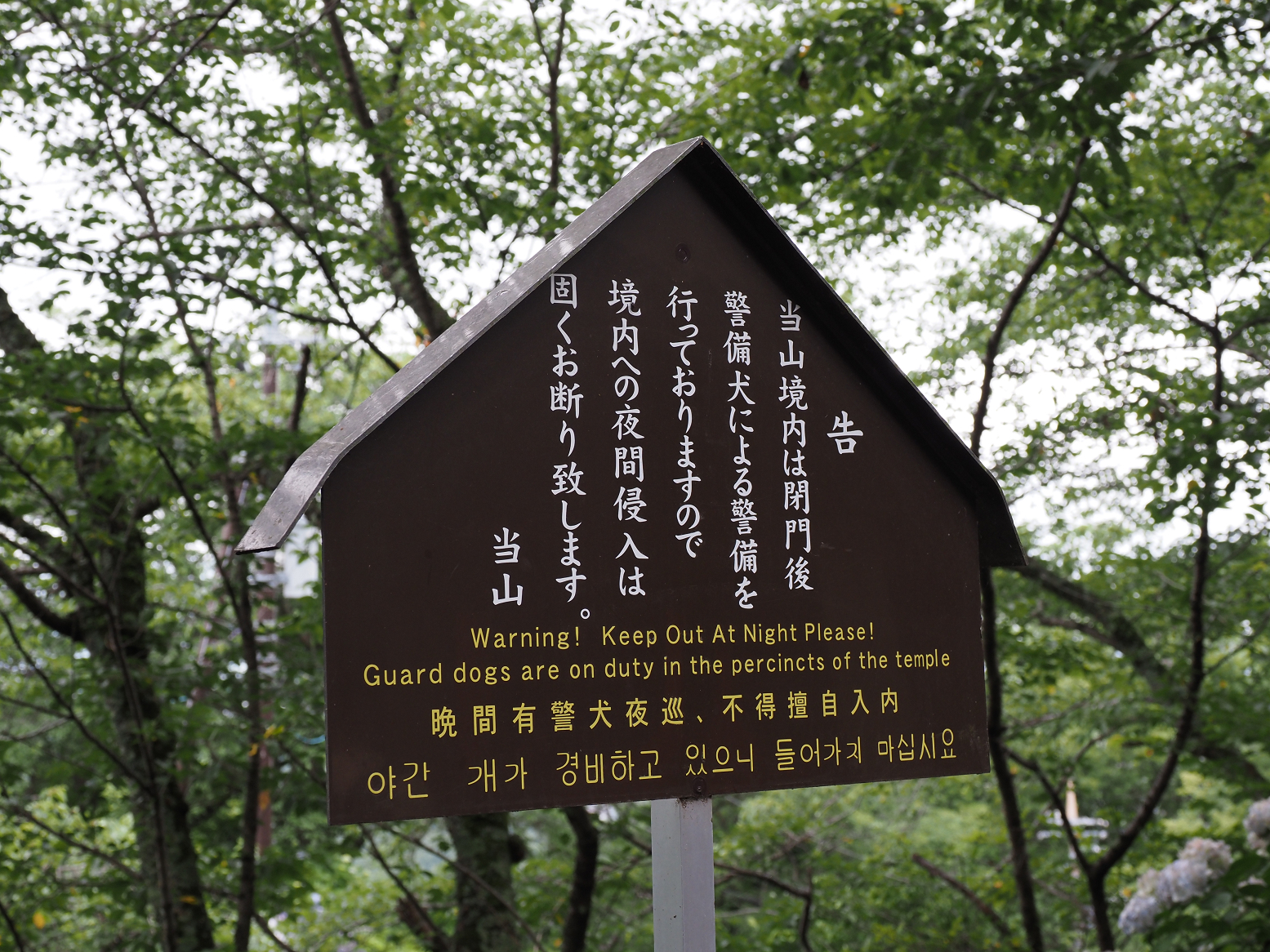 P7040110.jpg