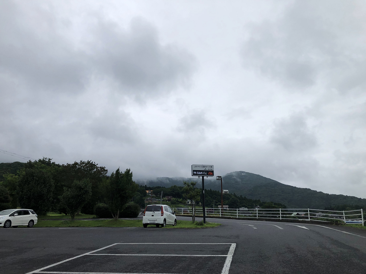 P7040113-05.jpg