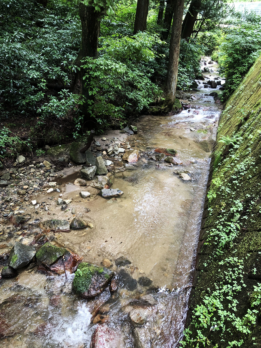 P7040113-10.jpg