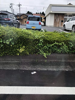 P7040113-22_thumb.png