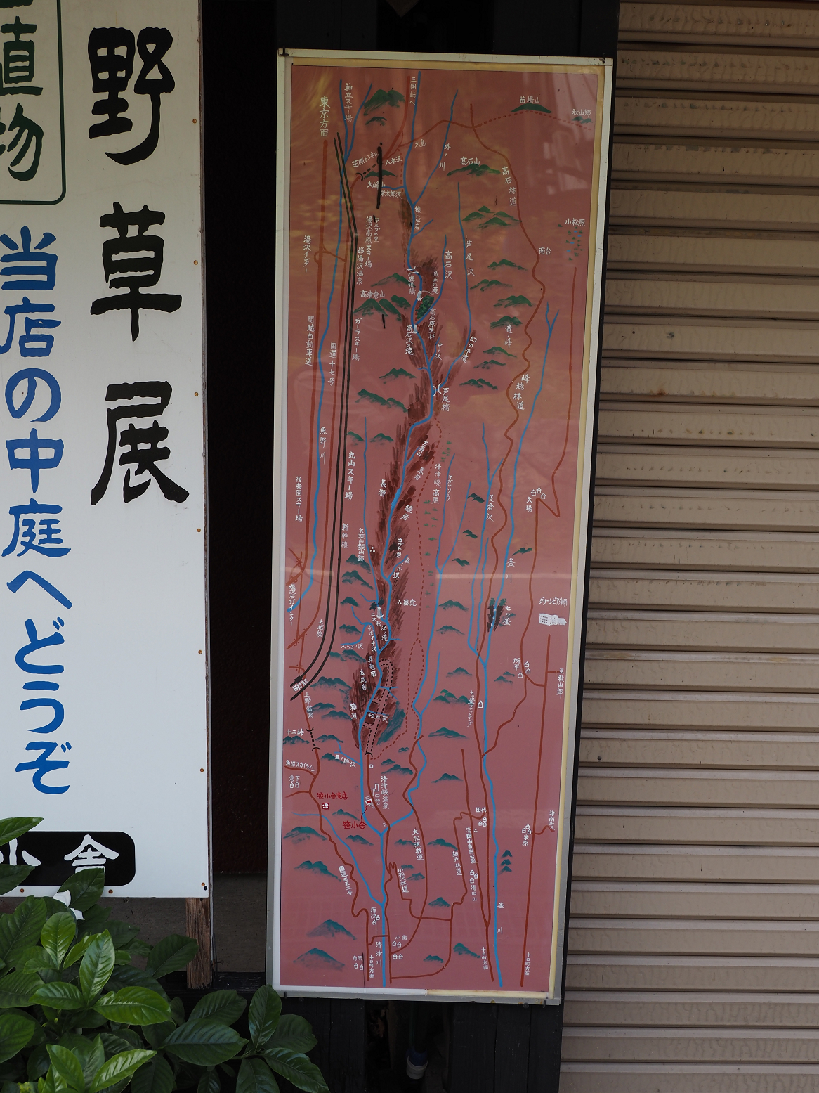 P7230020.jpg