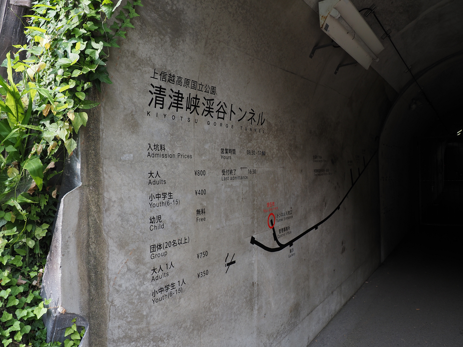 P7230031.jpg