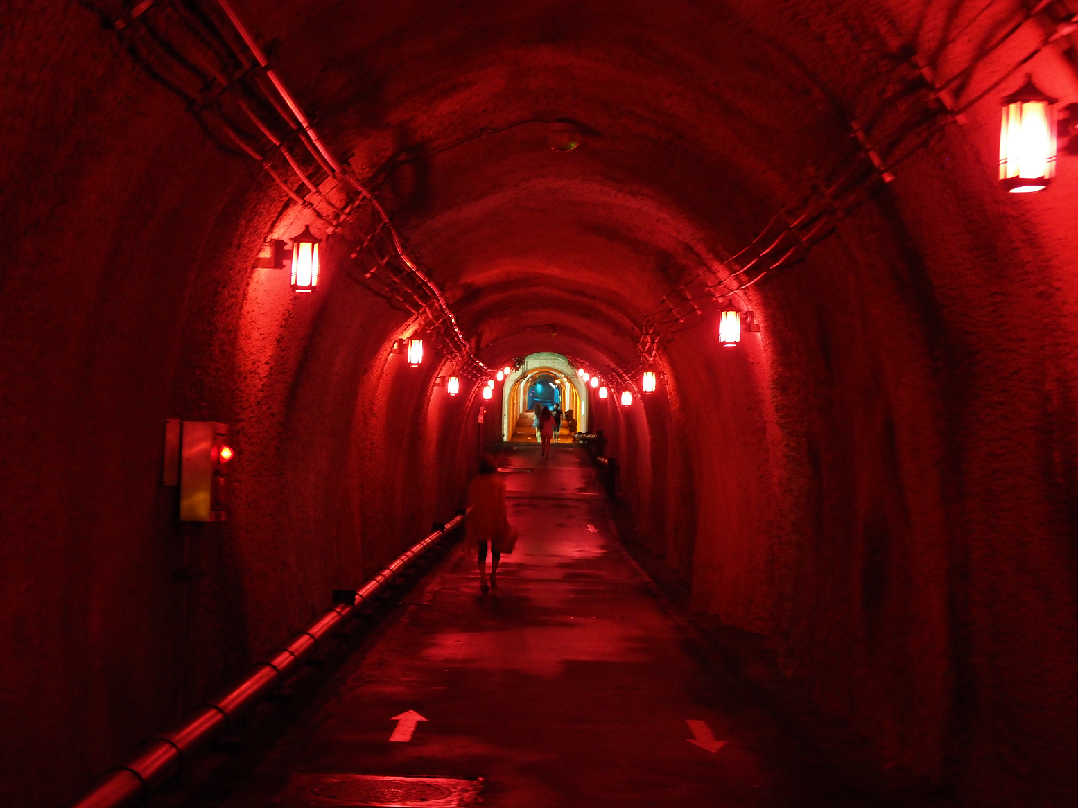 P7230050.jpg