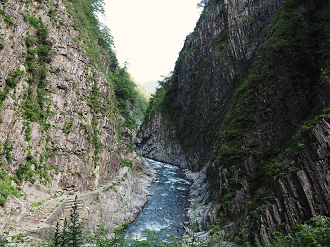 P7230087_thumb.png