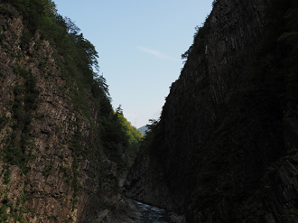 P7230093_thumb.png