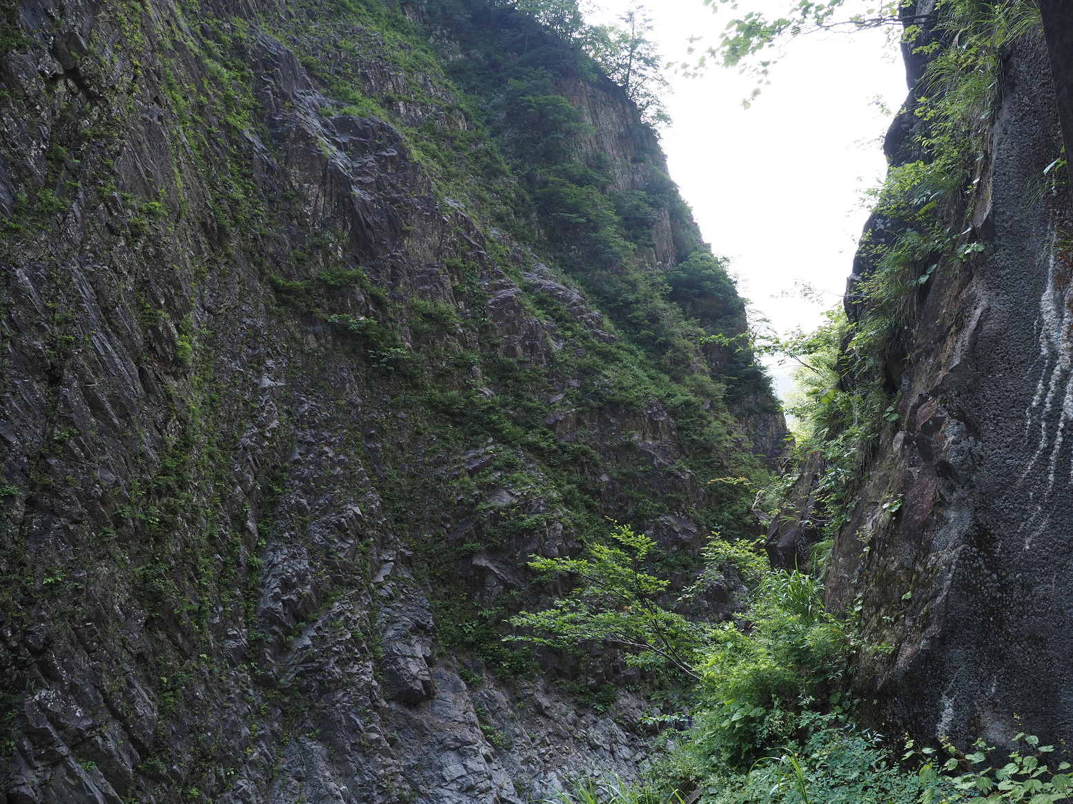 P7230101.jpg