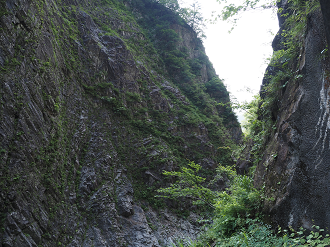 P7230101_thumb.png