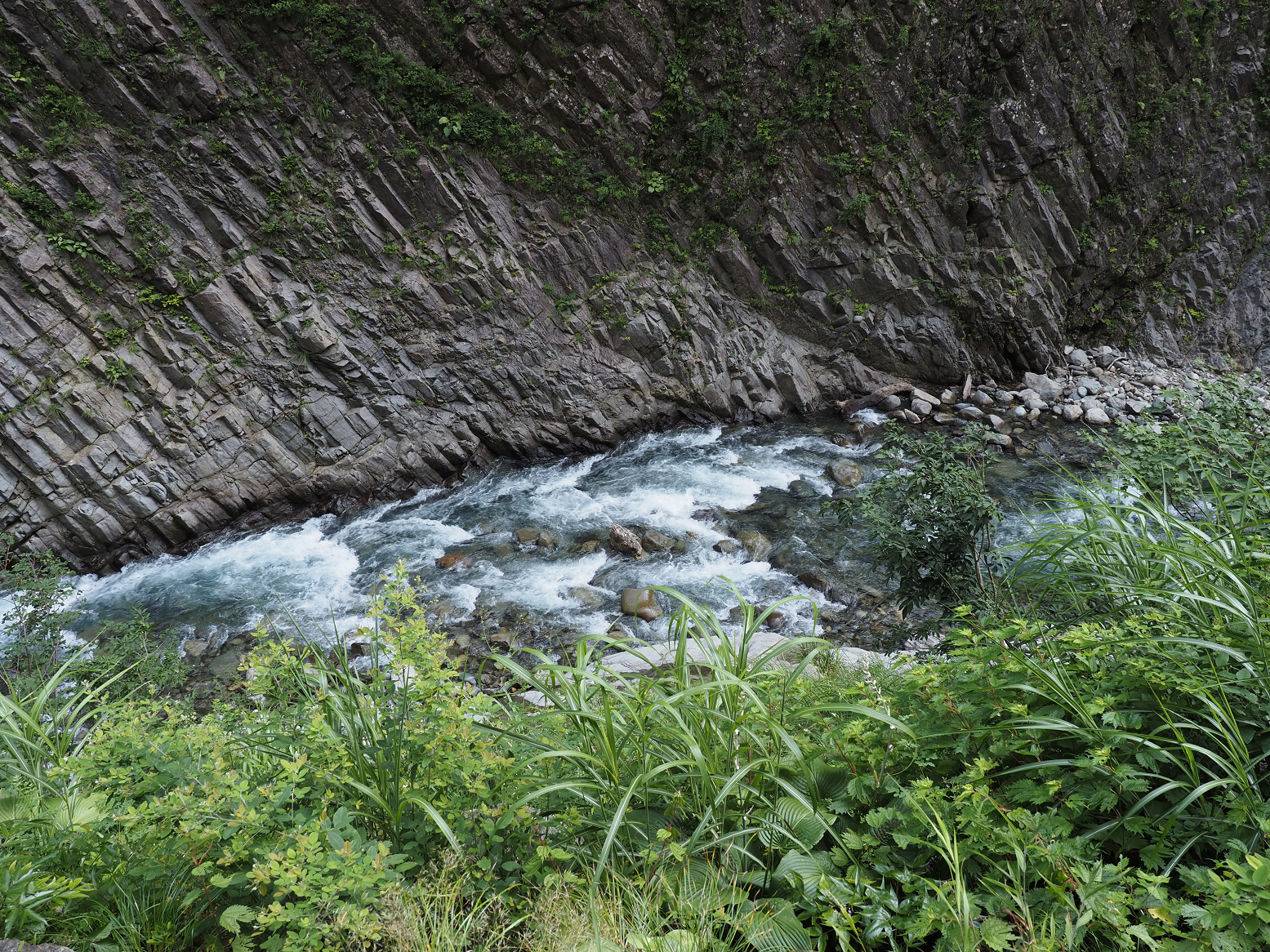 P7230102.jpg