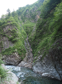 P7230103_thumb.png