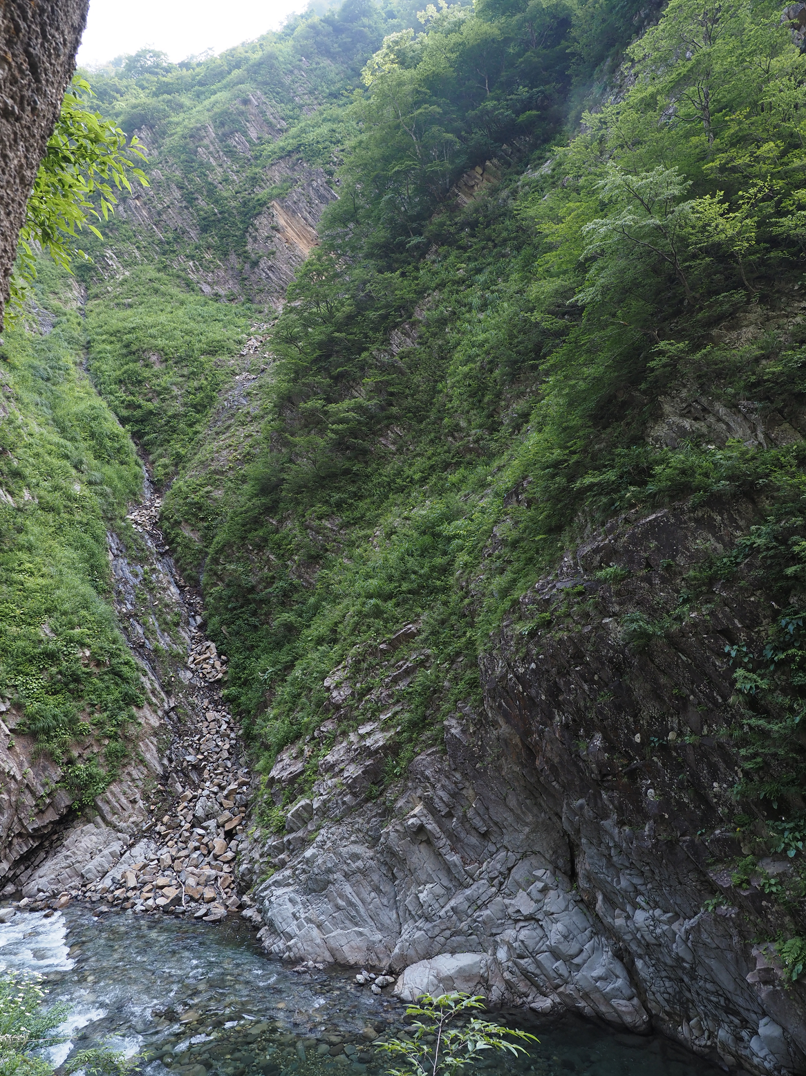 P7230108.jpg