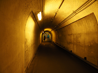 P7230115_thumb.png