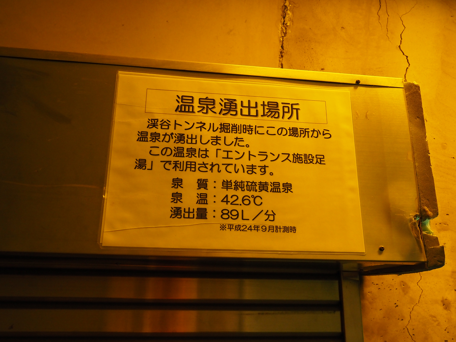 P7230117.jpg