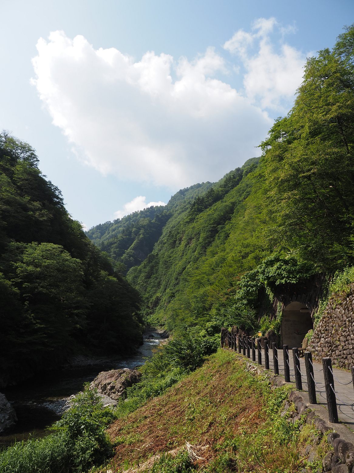 P7230120.jpg