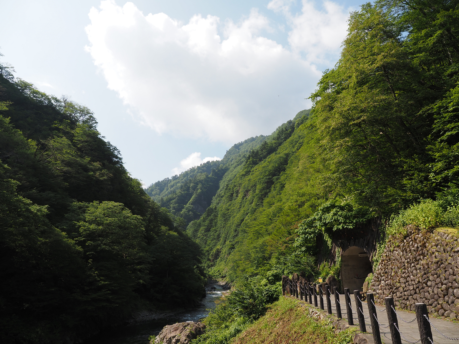 P7230121.jpg