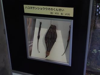P7240302_thumb.png