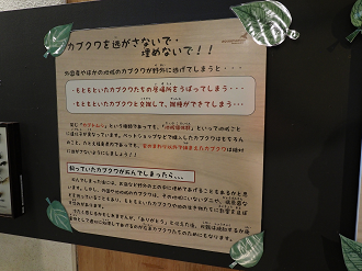 P7240420_thumb.png