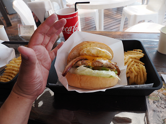 P7240452_thumb.png