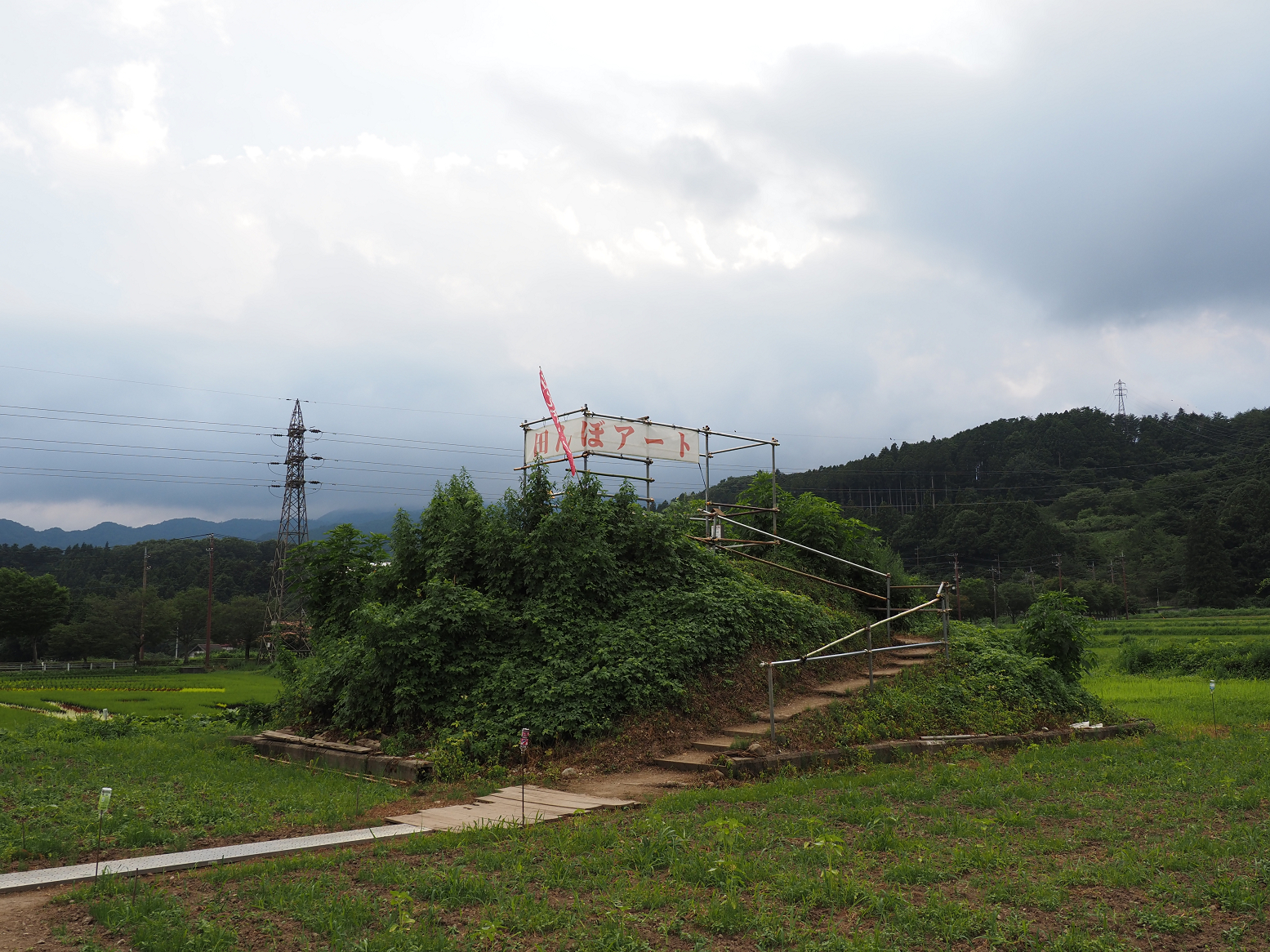 P7240578.jpg