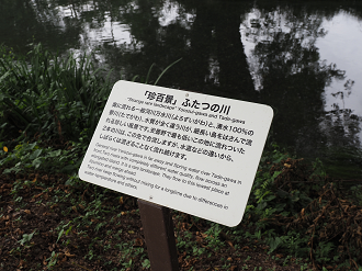 P7290011_thumb.png